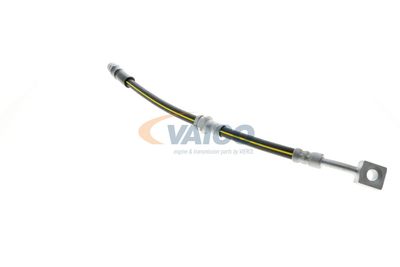 FURTUN FRANA VAICO V404110 46