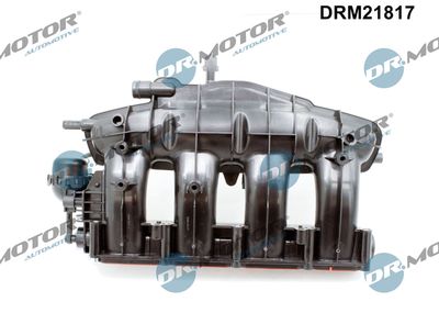 Модуль впускной трубы DRM21817