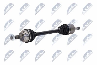 PLANETARA NTY NPWCT008 21