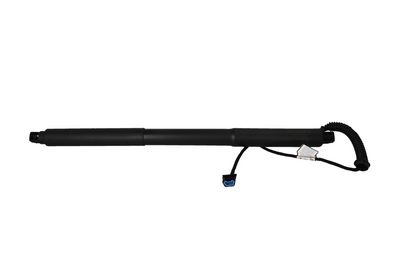 Galinių durų elektros variklis