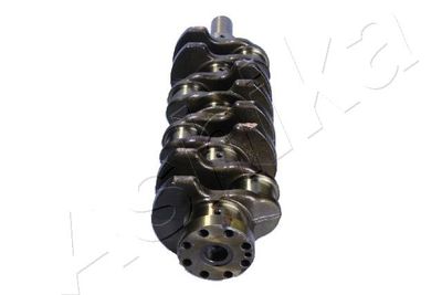 ARBORE COTIT ASHIKA 18FO000 1