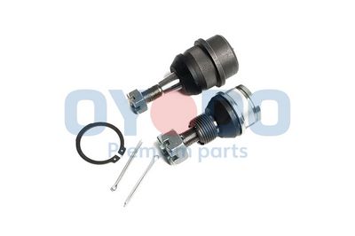 Šarnyras / girgždukas