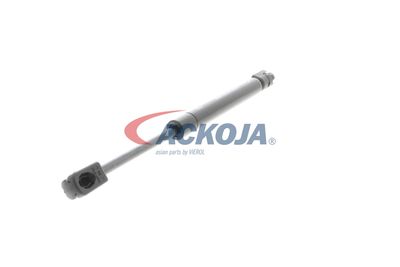 AMORTIZOR PORTBAGAJ ACKOJA A380073 29