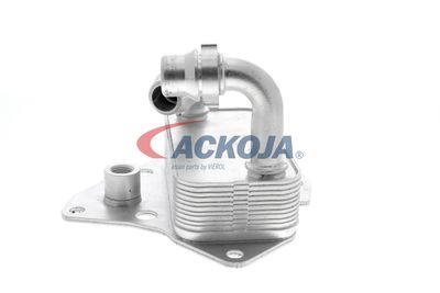 RADIATOR ULEI ULEI MOTOR VEMO V24600051 24