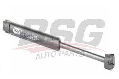 BSG BSG 40-980-012 Газовий упор багажника 