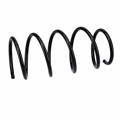 ARC SPIRAL EIBACH R10991 6