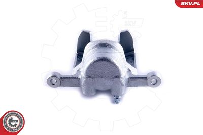 Brake Caliper 55SKV374