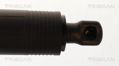 AMORTIZOR PORTBAGAJ TRISCAN 871029343 2