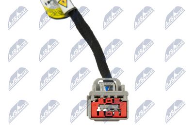 AMORTIZOR PORTBAGAJ NTY AEFR065 1