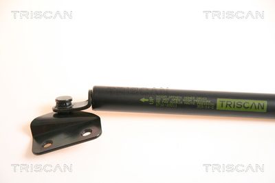 AMORTIZOR PORTBAGAJ TRISCAN 871069211 1