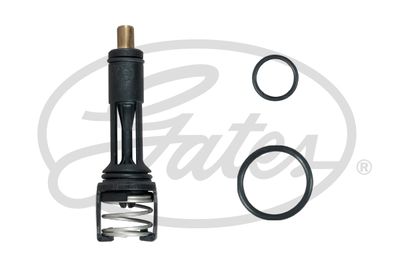 Thermostat, coolant TH606113G1