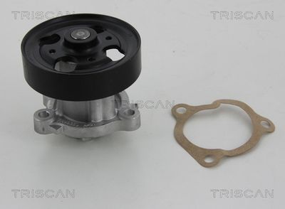 Водяной насос, охлаждение двигателя TRISCAN 8600 14018 для NISSAN TEANA
