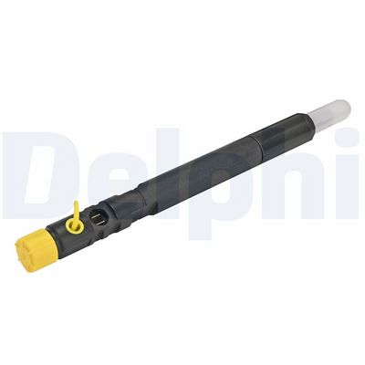 Delphi Fuel Injector R04201D-12B1
