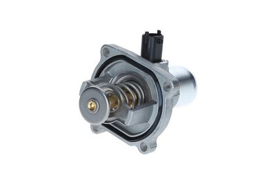 TERMOSTAT LICHID RACIRE