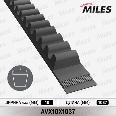 Клиновой ремень MILES AVX10X1037 для GLAS V