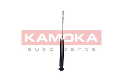 Shock Absorber 2001172