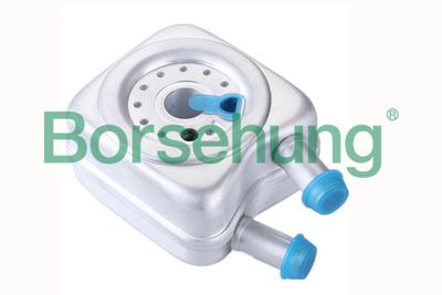 Olejový chladič, motorový olej Borsehung B14506