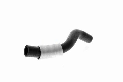 LADELUFTSCHLAUCH VAICO V420564 5