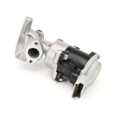 AGR-VENTIL DELPHI EG1064012B1 3