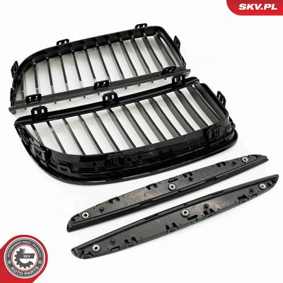 GRILA RADIATOR ESEN SKV 66SKV085 4