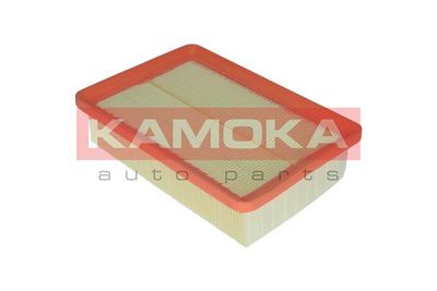 Air Filter F205801