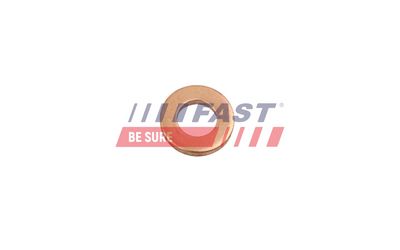 Těsnicí kroužek, držák trysky FAST FT49846