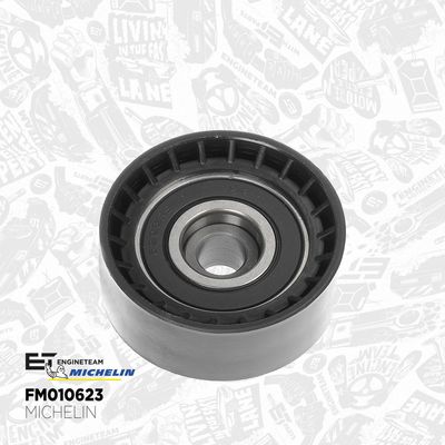 SET CUREA DE DISTRIBUTIE ET ENGINETEAM RM0035 6