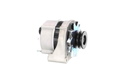 GENERATOR / ALTERNATOR REMANTE 011003000025R 50