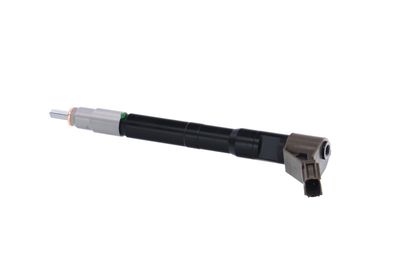 INJECTOR REMANTE 002003002077R 15