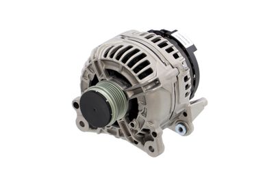 GENERATOR / ALTERNATOR REMANTE 011003000354R 65