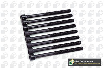 Zestaw śrub głowicy cylindrów BGA BK2399
