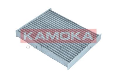 Filter, cabin air F517901