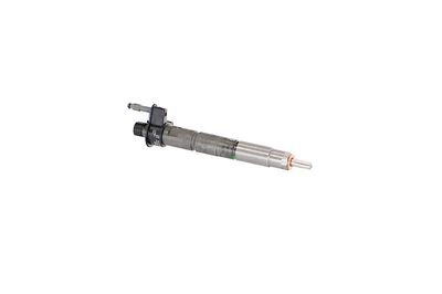 INJECTOR REMANTE 002003002293R 46
