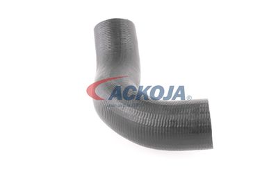 FURTUN EAR SUPRAALIMENTARE ACKOJA A380298 44