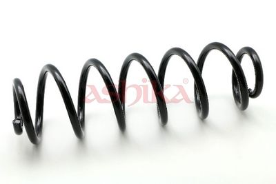 Fahrwerksfeder