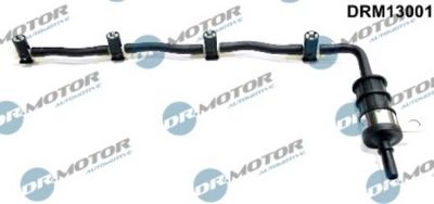 DRM13001