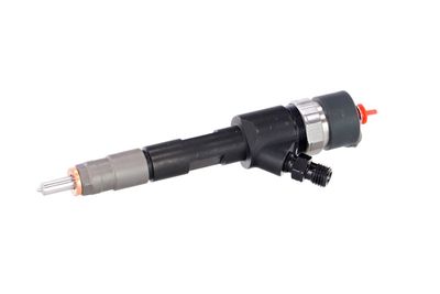 INJECTOR REMANTE 002003001043R 7