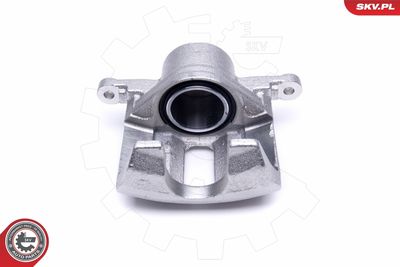 Brake Caliper 50SKV411