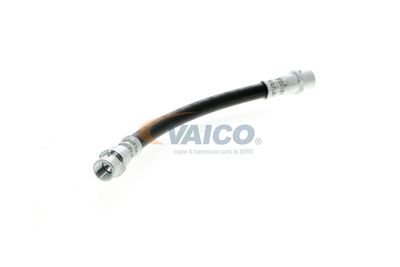 FURTUN FRANA VAICO V104136 53
