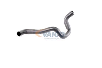 KüHLERSCHLAUCH VAICO V251790 34