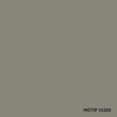 Vozidlo - kombinovaný lak MOTIP M55203
