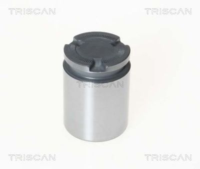 TRISCAN 8170 233856 Комплектуючі гальмівного супорта для JEEP (Джип)