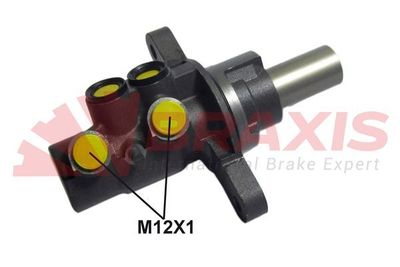 BRAXIS AJ0170 Ремкомплект тормозного цилиндра  для PEUGEOT  (Пежо Ркз)