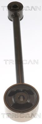 SUPORT MOTOR TRISCAN 850542102 1