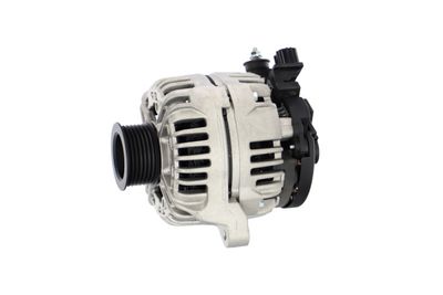 GENERATOR / ALTERNATOR REMANTE 011003000119R 12