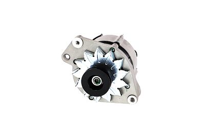 GENERATOR / ALTERNATOR REMANTE 011003000270R 59