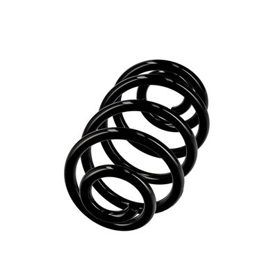ARC SPIRAL EIBACH R10050 2