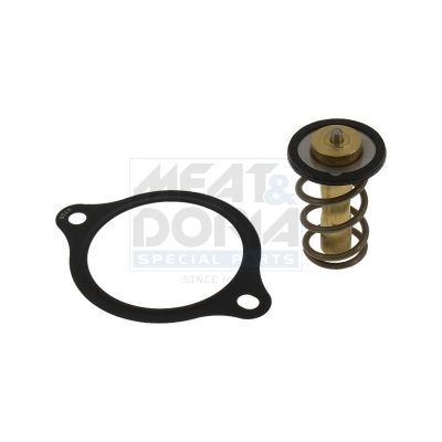 TERMOSTAT LICHID RACIRE