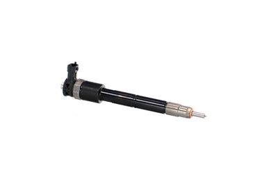 INJECTOR REMANTE 002003002307R 43