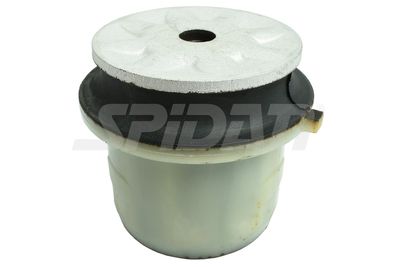 LAGERUNG ACHSKöRPER SPIDAN CHASSIS PARTS 410621